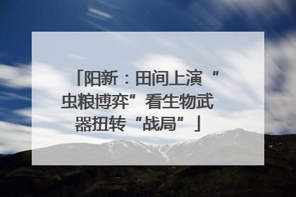 阳新：田间上演“虫粮博弈”看生物武器扭转“战局”