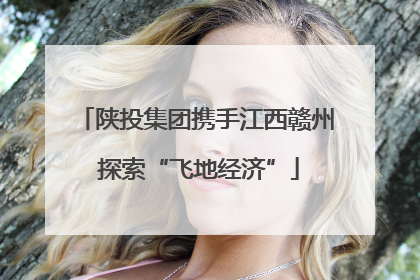 陕投集团携手江西赣州 探索“飞地经济”