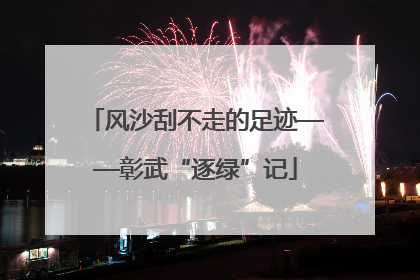 风沙刮不走的足迹——彰武“逐绿”记
