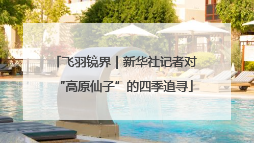 飞羽镜界｜新华社记者对“高原仙子”的四季追寻