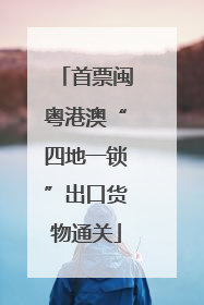 首票闽粤港澳“四地一锁”出口货物通关