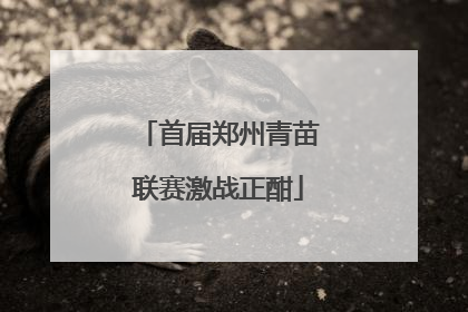 首届郑州青苗联赛激战正酣