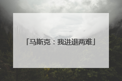 马斯克：我进退两难