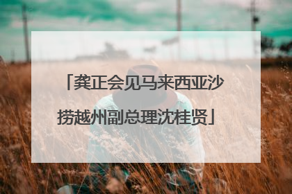 龚正会见马来西亚沙捞越州副总理沈桂贤