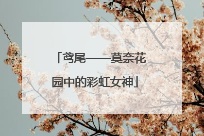 鸢尾——莫奈花园中的彩虹女神