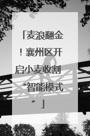 麦浪翻金！襄州区开启小麦收割“智能模式”