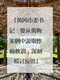 黄冈市委书记：要从黄梅案例中汲取惨痛教训，深刻检讨反思