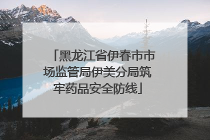 黑龙江省伊春市市场监管局伊美分局筑牢药品安全防线