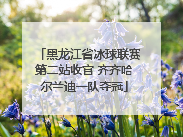 黑龙江省冰球联赛第二站收官 齐齐哈尔兰迪一队夺冠