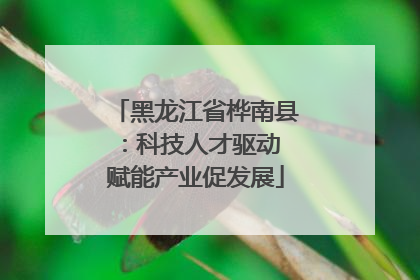 黑龙江省桦南县：科技人才驱动 赋能产业促发展