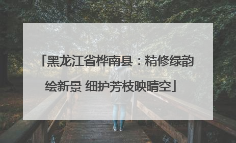 黑龙江省桦南县：精修绿韵绘新景 细护芳枝映晴空