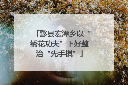 黟县宏潭乡以“绣花功夫”下好整治“先手棋”
