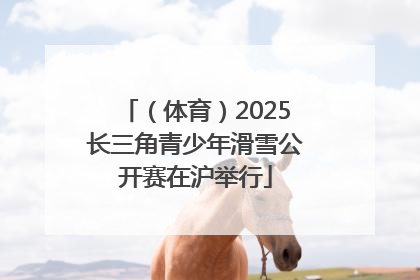 （体育）2025长三角青少年滑雪公开赛在沪举行