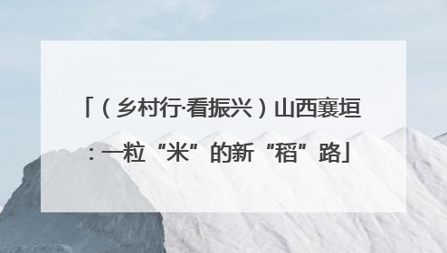 （乡村行·看振兴）山西襄垣：一粒“米”的新“稻”路