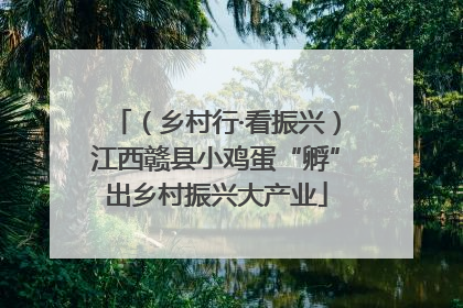 （乡村行·看振兴）江西赣县小鸡蛋“孵”出乡村振兴大产业
