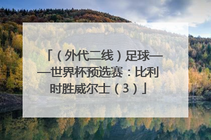 （外代二线）足球——世界杯预选赛：比利时胜威尔士（3）