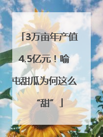 3万亩年产值4.5亿元！喻屯甜瓜为何这么“甜”