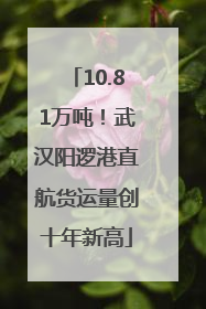 10.81万吨！武汉阳逻港直航货运量创十年新高