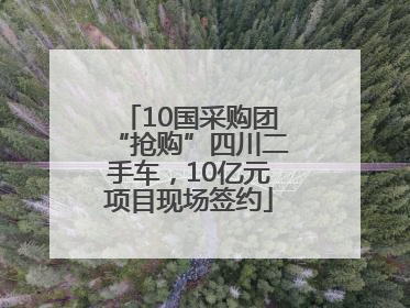 10国采购团“抢购”四川二手车，10亿元项目现场签约
