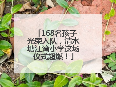 168名孩子光荣入队，清水塘江湾小学这场仪式超燃！