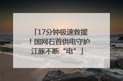 17分钟极速救援！国网石首供电守护江豚不断“电”