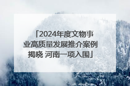 2024年度文物事业高质量发展推介案例揭晓 河南一项入围