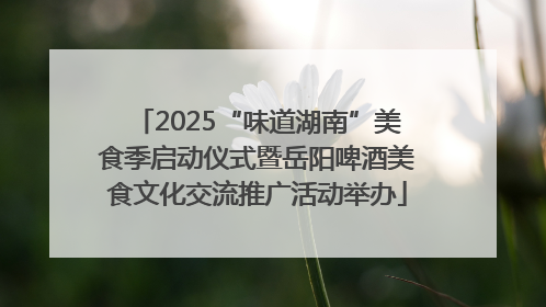 2025“味道湖南”美食季启动仪式暨岳阳啤酒美食文化交流推广活动举办