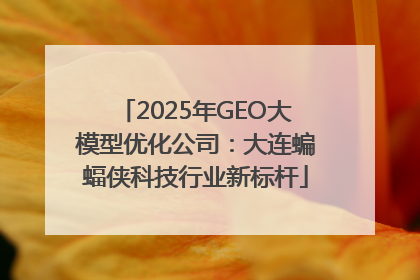 2025年GEO大模型优化公司：大连蝙蝠侠科技行业新标杆