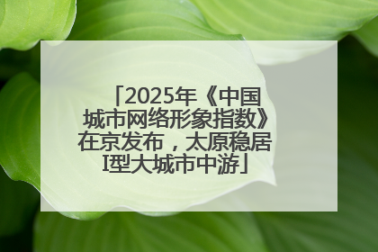 2025年《中国城市网络形象指数》在京发布，太原稳居I型大城市中游