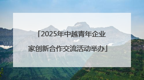 2025年中越青年企业家创新合作交流活动举办