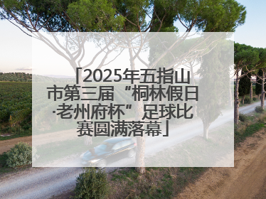 2025年五指山市第三届“桐林假日·老州府杯”足球比赛圆满落幕