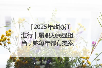 2025年政协江淮行｜履职为民显担当，她每年都有提案被评为“优秀”