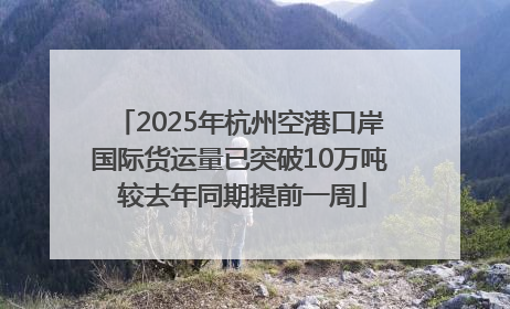 2025年杭州空港口岸国际货运量已突破10万吨 较去年同期提前一周