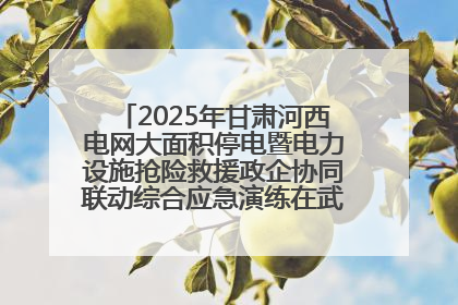 2025年甘肃河西电网大面积停电暨电力设施抢险救援政企协同联动综合应急演练在武威成功举行