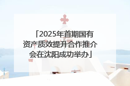 2025年首期国有资产质效提升合作推介会在沈阳成功举办