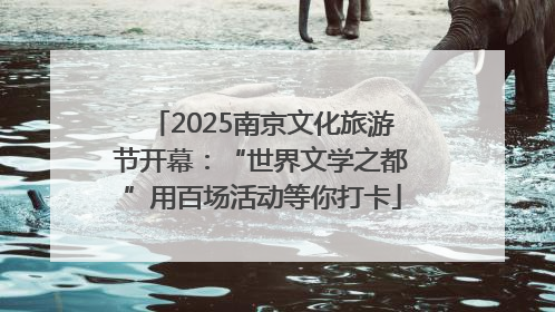 2025南京文化旅游节开幕：“世界文学之都”用百场活动等你打卡