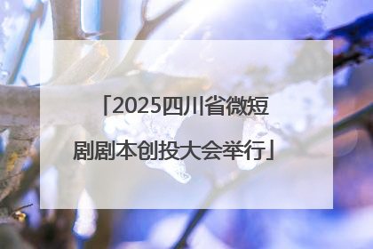 2025四川省微短剧剧本创投大会举行