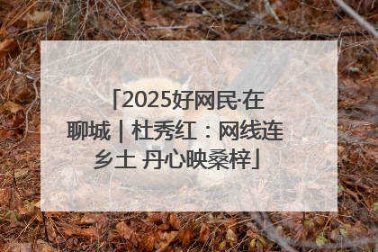 2025好网民·在聊城｜杜秀红：网线连乡土 丹心映桑梓