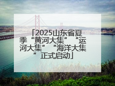 2025山东省夏季“黄河大集”“运河大集”“海洋大集”正式启动