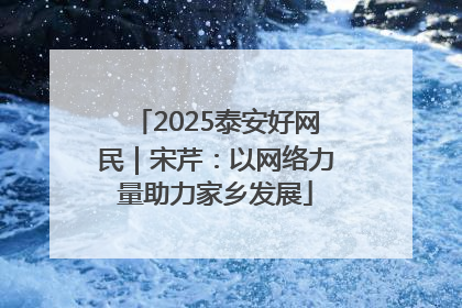 2025泰安好网民｜宋芹：以网络力量助力家乡发展