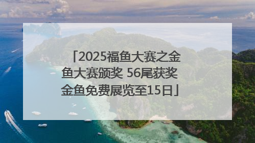 2025福鱼大赛之金鱼大赛颁奖 56尾获奖金鱼免费展览至15日