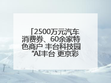 2500万元汽车消费券、60余家特色商户 丰台科技园“AI丰台 更京彩”未来玩家市集活动正式开幕