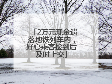 2万元现金遗落地铁列车内，好心乘客捡到后及时上交