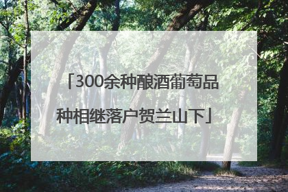 300余种酿酒葡萄品种相继落户贺兰山下