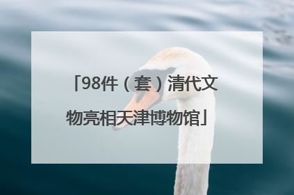 98件（套）清代文物亮相天津博物馆