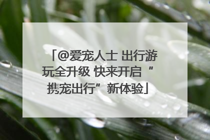 @爱宠人士 出行游玩全升级 快来开启“携宠出行”新体验