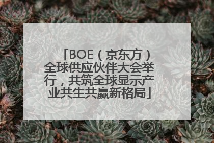 BOE（京东方）全球供应伙伴大会举行，共筑全球显示产业共生共赢新格局