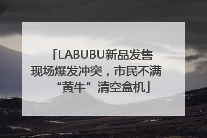 LABUBU新品发售现场爆发冲突，市民不满“黄牛”清空盒机