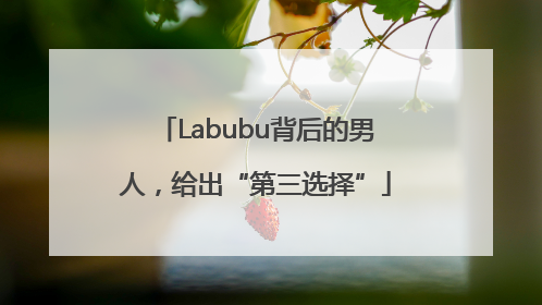 Labubu背后的男人，给出“第三选择”