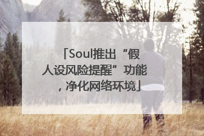 Soul推出“假人设风险提醒”功能，净化网络环境